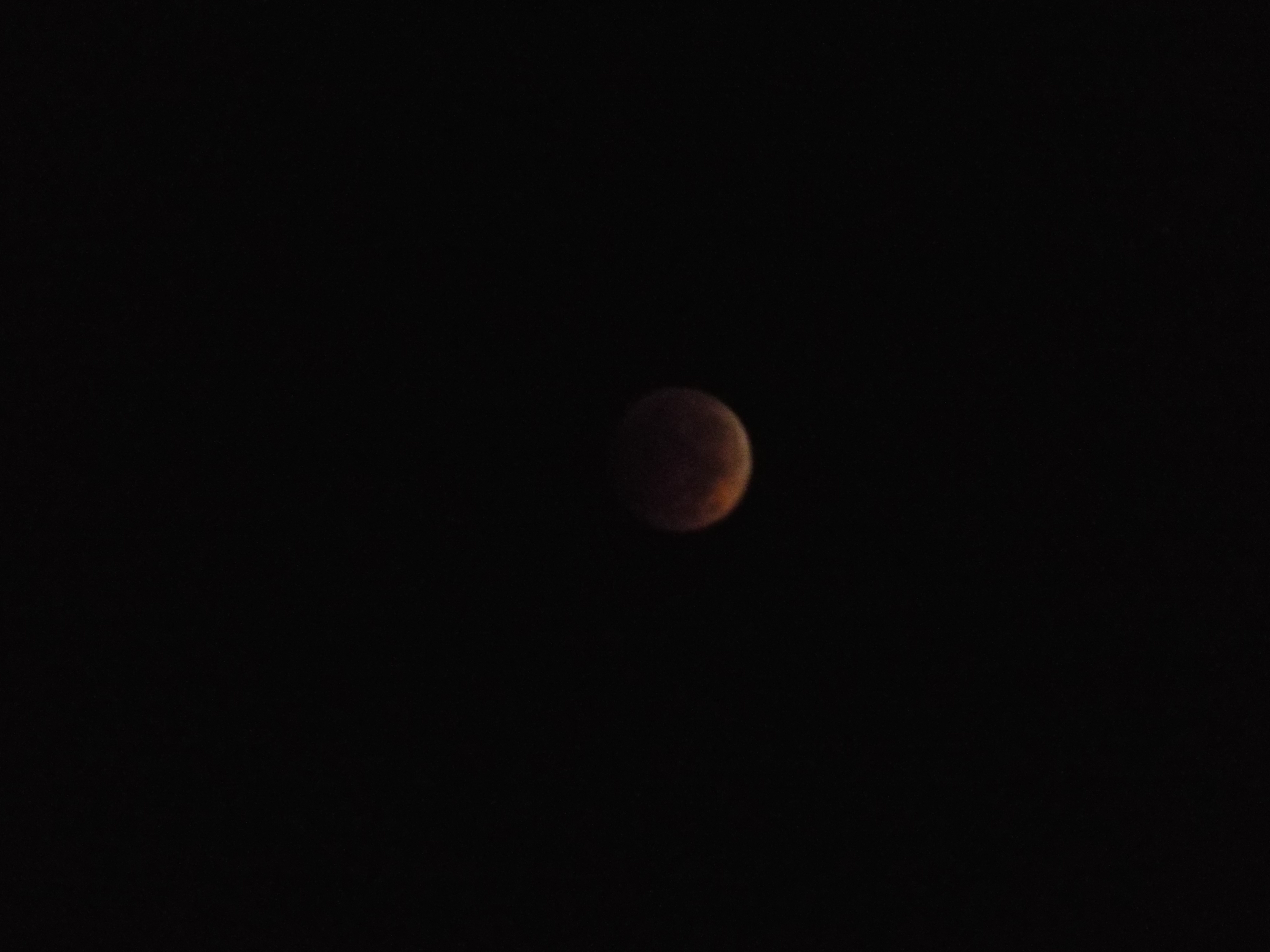 Lunar Eclipse 100814 006